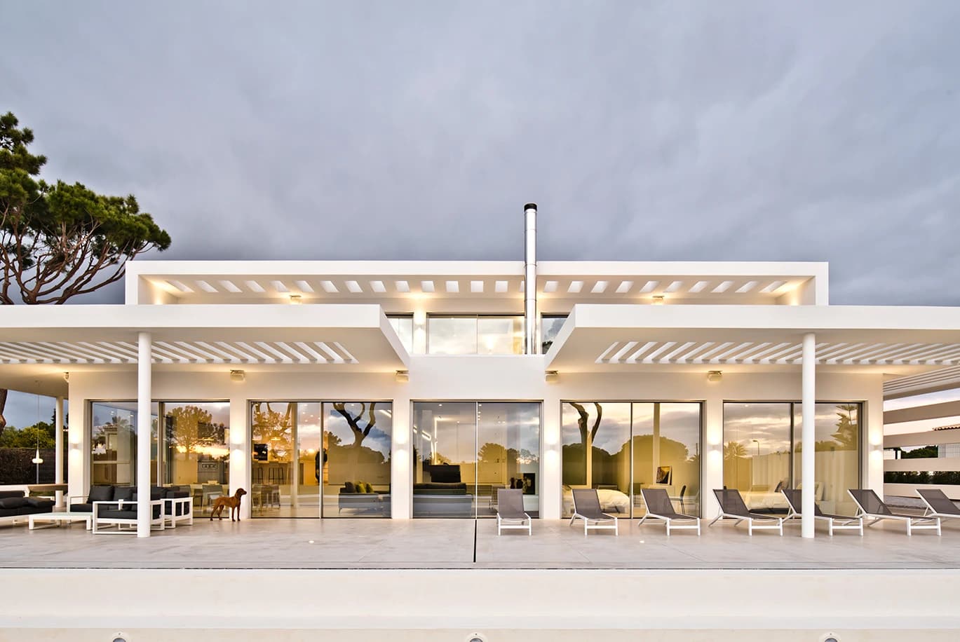 Life Emotions Life Emotions